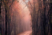 天涯社区一进就是广告，烦死了啊！