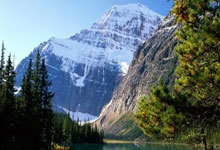 天涯社区VS中兴通讯：一场网络风暴